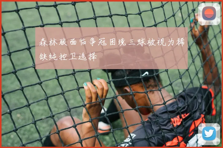 森林狼面临争冠困境三球被视为稀缺纯控卫选择