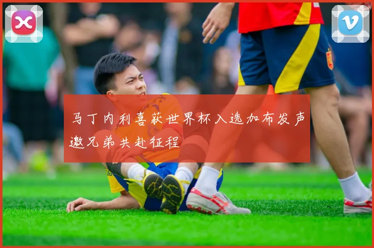 马丁内利喜获世界杯入选加布发声邀兄弟共赴征程