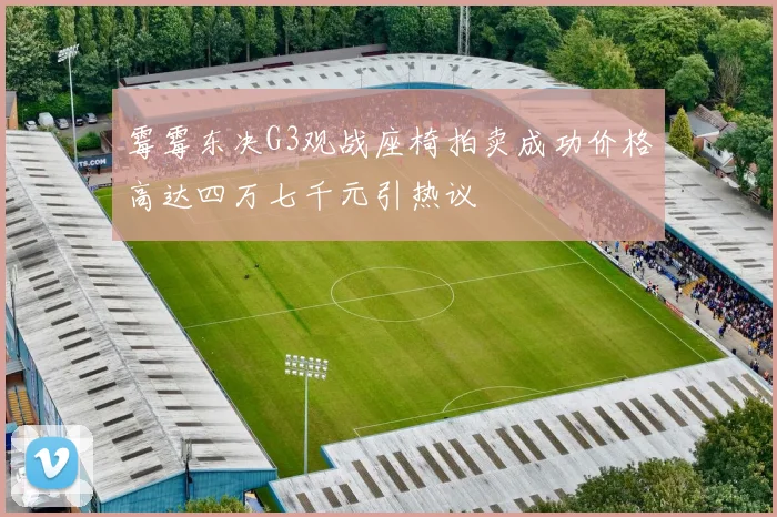 霉霉东决G3观战座椅拍卖成功价格高达四万七千元引热议